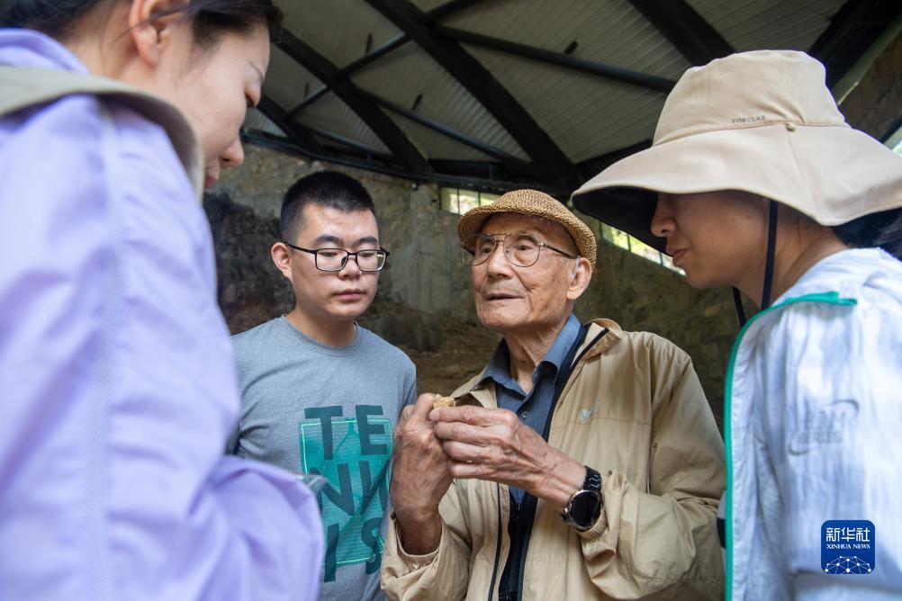 百家欧赔排行